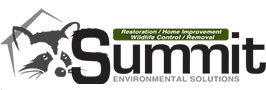 Image for Summit Environmental Solutions with ID of: 1160828