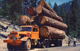 Image for Quality Firewood & Logging Inc with ID of: 1161078