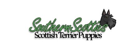 Image for Southern Scotties with ID of: 1161900
