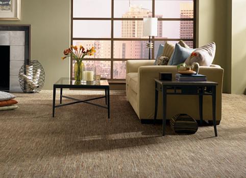 Image for The Carpet Mill with ID of: 1162373