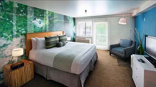 Image for The Domain Hotel with ID of: 1163684