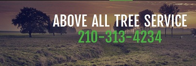 Image for Above All Tree Service with ID of: 1164591