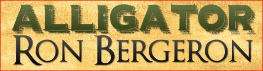Image for Bergeron Land Development with ID of: 1165144