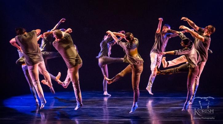 Image for Koresh Dance Company with ID of: 1166861