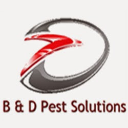 Image for B & D Pest Solutions with ID of: 1167269