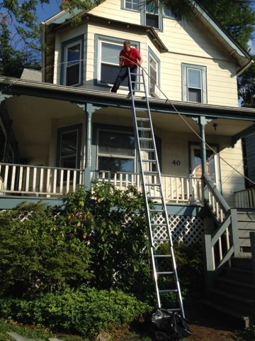 Image for B & D Pest Solutions with ID of: 1167280