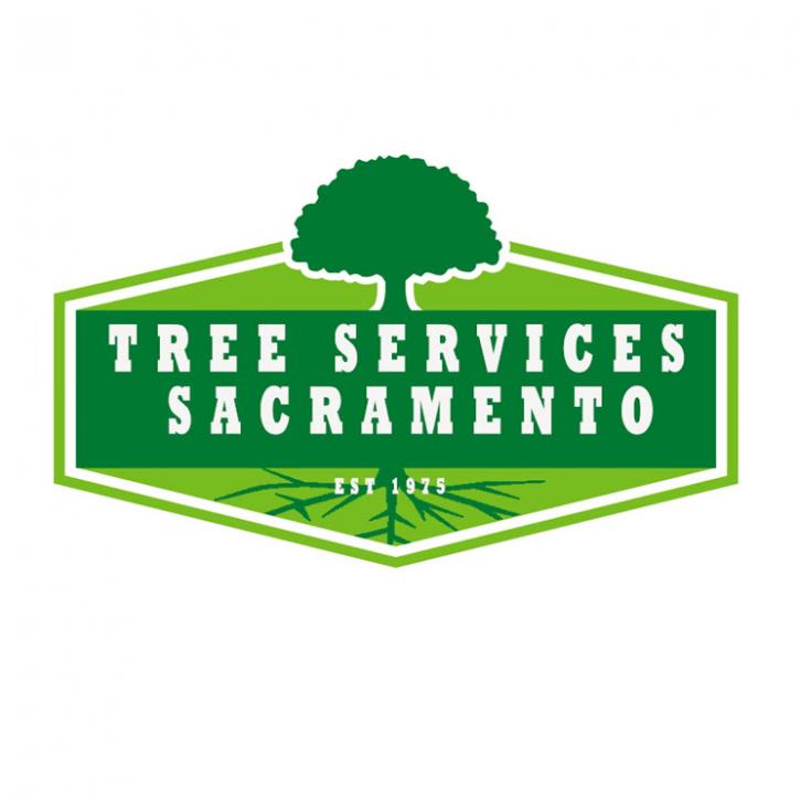 Image for Tree Services Sacramento with ID of: 1167307