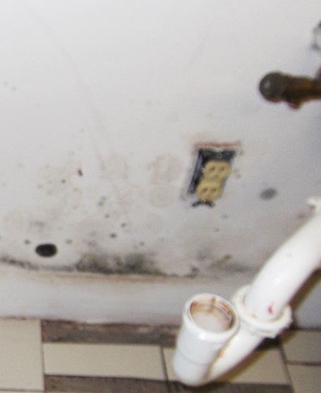 Image for Hire Broken Pipe Under House Claim Handler (APA) Accredited Public Adjuster with ID of: 1168001