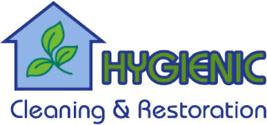 Image for Hygienic Cleaning and Restoration with ID of: 1170772