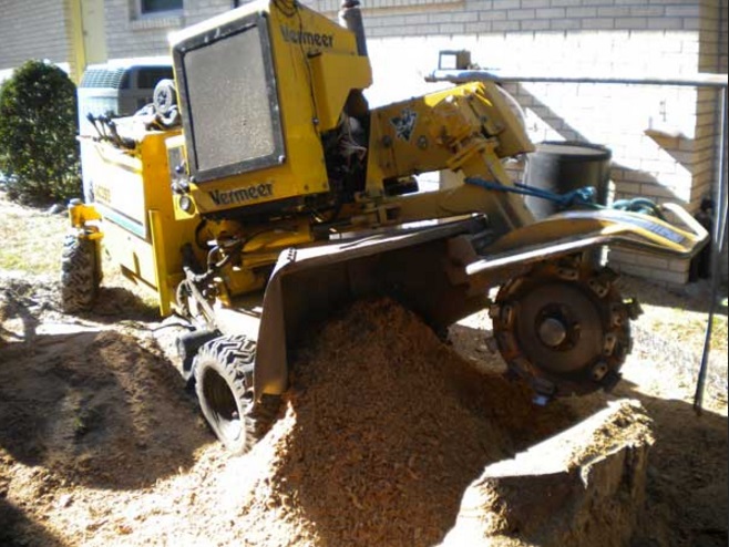 Image for Wayne's Tree Service LLC with ID of: 1171039