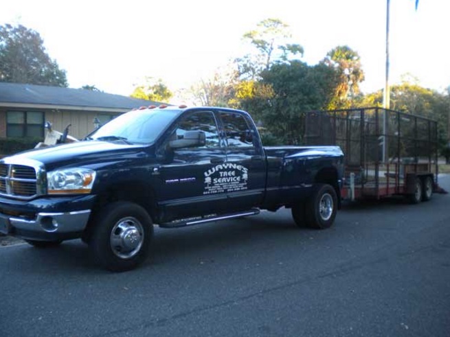 Image for Wayne's Tree Service LLC with ID of: 1171044