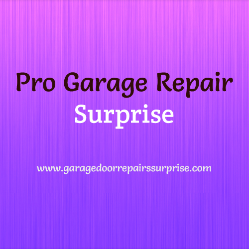 Image for Pro Garage Repair Surprise with ID of: 1171119