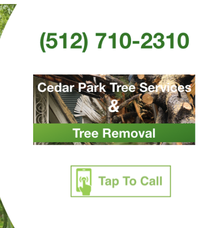 Image for Tree Services Cedar Park with ID of: 1171628