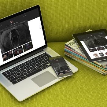 Image for EvoMETA Digital Marketing Agency with ID of: 1172068