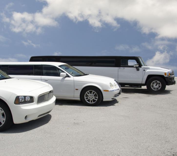 Image for San Limo LLC with ID of: 1172644