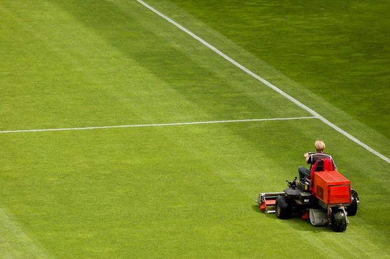 Image for PowerBlade Lawn Care with ID of: 1175648