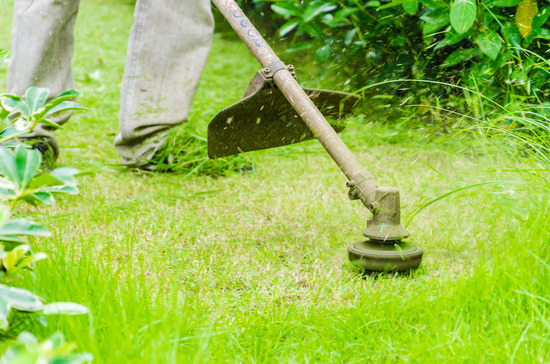 Image for PowerBlade Lawn Care with ID of: 1175651