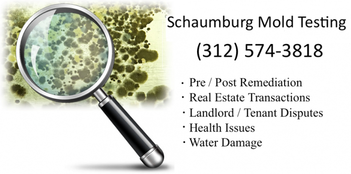 Image for Schaumburg Mold Testing with ID of: 1176353