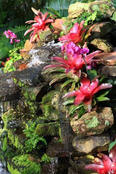 Image for Premier Horticulture with ID of: 1176659