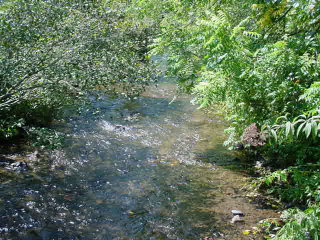 Image for FRANKLIN NC REAL ESTATE * 4.27 Acres * Stream * Pasture * Horses *VIEWS! with ID of: 117728