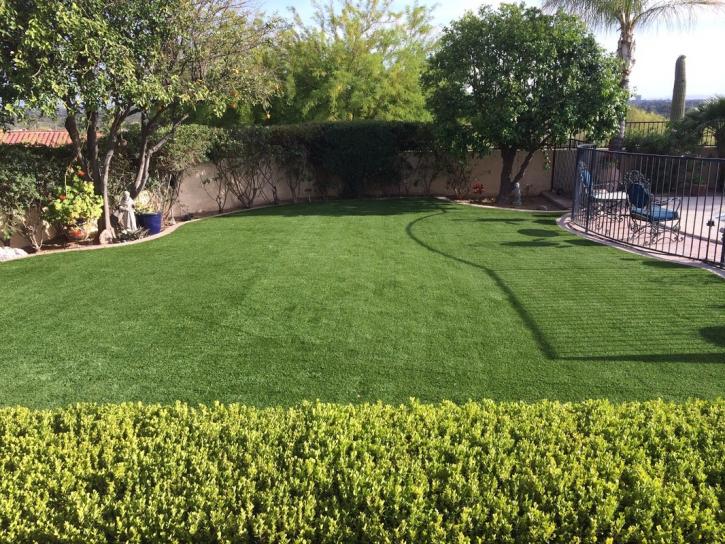 Image for Think Turf with ID of: 1177433