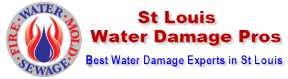 Image for St Louis Water Damage Pros with ID of: 1177901