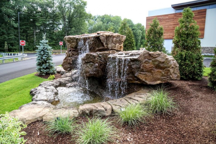 Image for Lawn Pros with ID of: 1178236