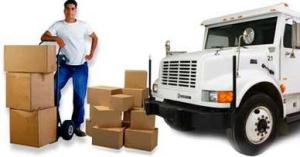 Image for Brazos Movers with ID of: 1179013
