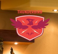 Image for Thunderbird Custom Drywall with ID of: 1179073