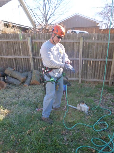 Image for Patriot Tree Service with ID of: 1180057