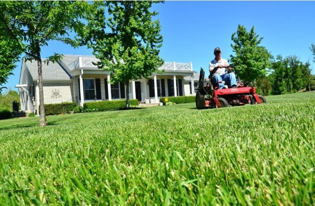 Image for The Landscape Consulting Group with ID of: 1182240