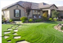 Image for The Landscape Consulting Group with ID of: 1182241