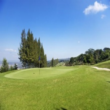 Image for Southwest Golf Supply with ID of: 1182423