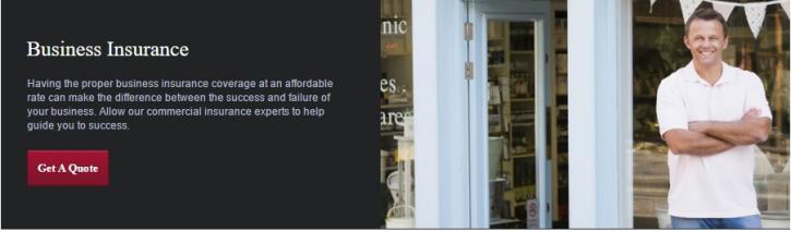 Image for Wellcovered Insurance with ID of: 1183120