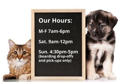 Image for Alpine Pet Care Center with ID of: 1183128