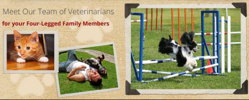 Image for Alpine Pet Care Center with ID of: 1183152