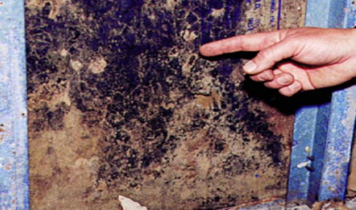 Image for Reliable Restoration with ID of: 1186939