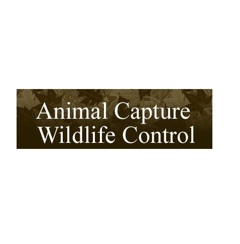 Image for Animal Capture Wildlife Control with ID of: 1188541