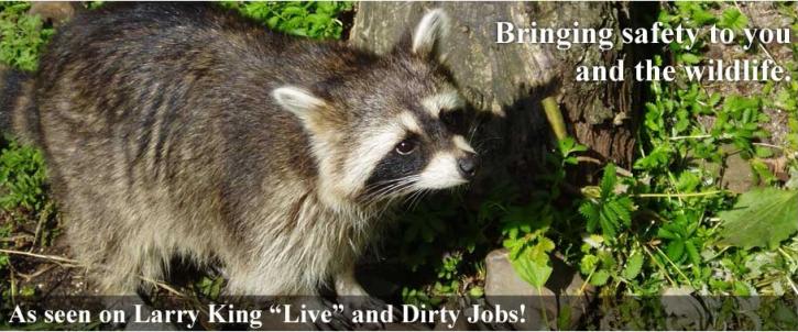 Image for Animal Capture Wildlife Control with ID of: 1188542