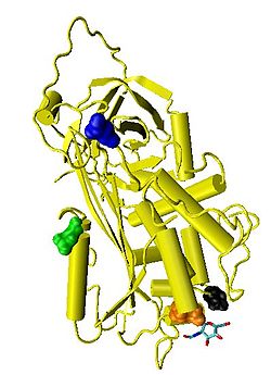 Image for Indentify Anti-thrombin Activators Market Segments And Opportunities in Healthcare Industry with ID of: 1189315