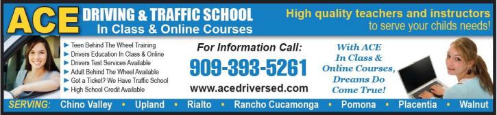 Image for ACE Driving & Traffic School with ID of: 1190504