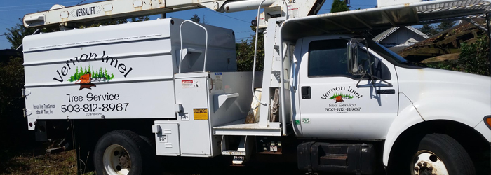 Image for Vernon Imel Tree Service with ID of: 1190806