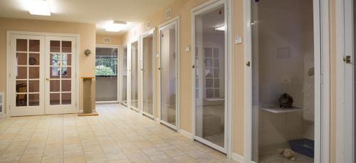 Image for Cat Country Resort LLC with ID of: 1191067
