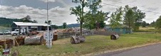 Image for Mr. Tree with ID of: 1191849