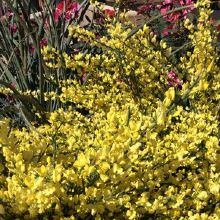 Image for Plant World with ID of: 1193569
