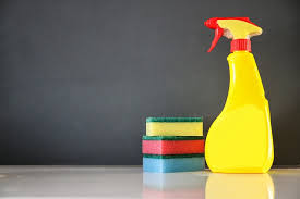 Image for Zippity Do-Da Cleaning with ID of: 1193878