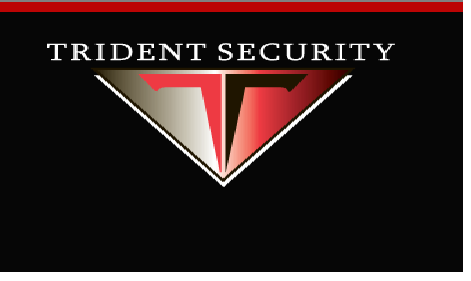 Image for Trident Security Services Inc. with ID of: 1193922