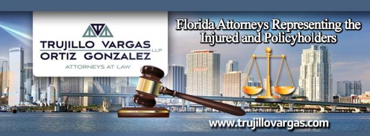 Image for Trujillo Vargas Gonzalez & Hevia, LLLP with ID of: 1194199