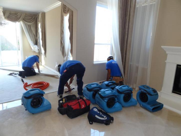 Image for Miami Water Damage - ExecMaid with ID of: 1194403
