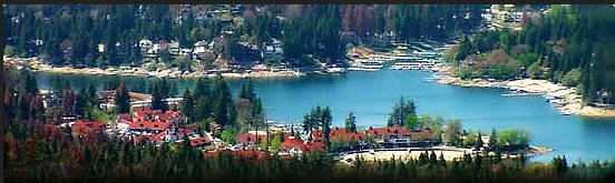 Image for The JoAnn Dickinson Group with ID of: 1195249